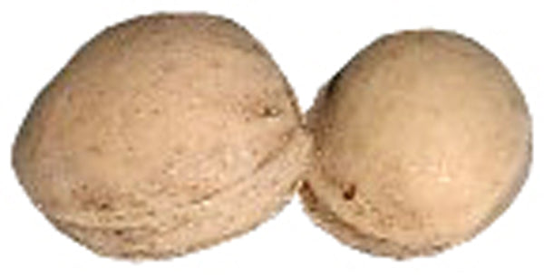 Kirschkerne lose Kirschkernkissen Wärmekissen Kirschsteine getrocknet 5kg