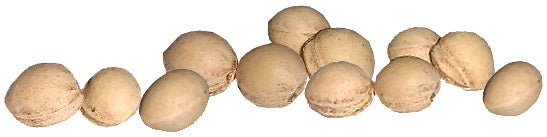 Cherry Stones Loose for Cherry Stone Pillows Heat Pillows Cleaned Cherry Stones 1Kg