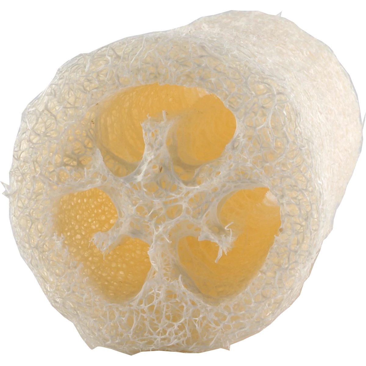 Luffa Gurkenschwamm Natur 10 cm – Für Bad & Küche – 100% biologisch abbaubar, plastikfrei & unverpackt