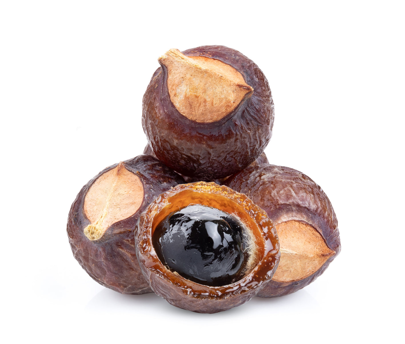 Waschnüsse Sapindus Mukorossi Allergiekergeeignet 100% biologisch natürlich Waschmittel 1kg