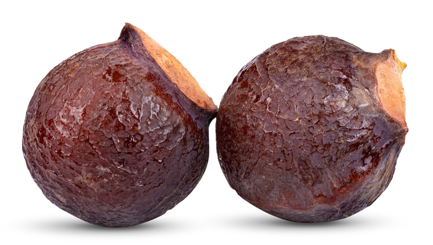 Waschnüsse Sapindus Mukorossi Allergiekergeeignet 100% biologisch natürlich Waschmittel 1kg