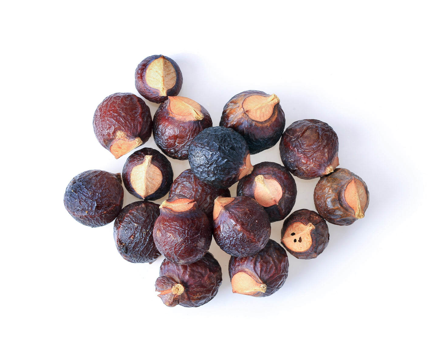 Waschnüsse Sapindus Mukorossi Allergiekergeeignet 100% biologisch natürlich Waschmittel 1kg