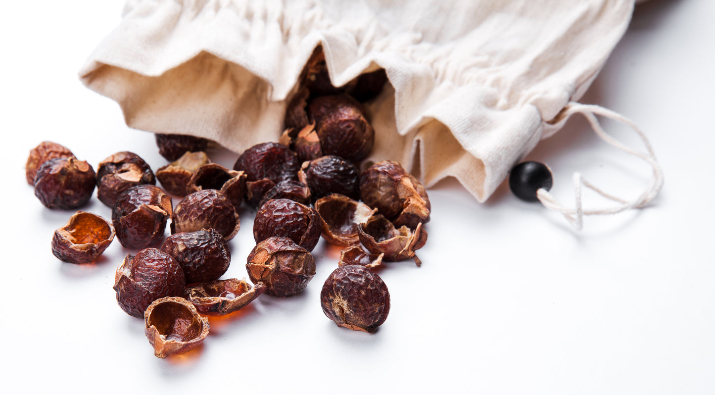 Waschnuss Sapindus Mukorossi Allergiekergeeignet 100% biologisch natürlich Waschmittel 250g