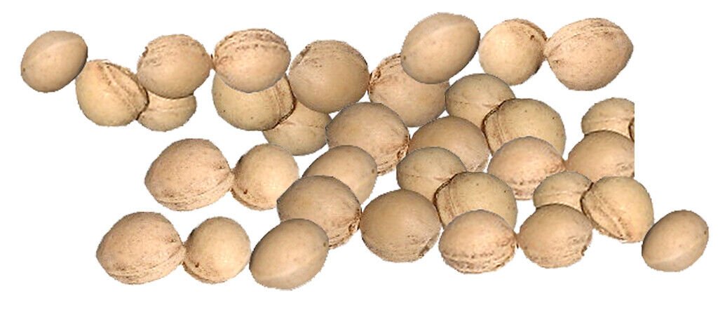 Kirschkerne lose Kirschkernkissen Wärmekissen Kirschsteine getrocknet 5kg