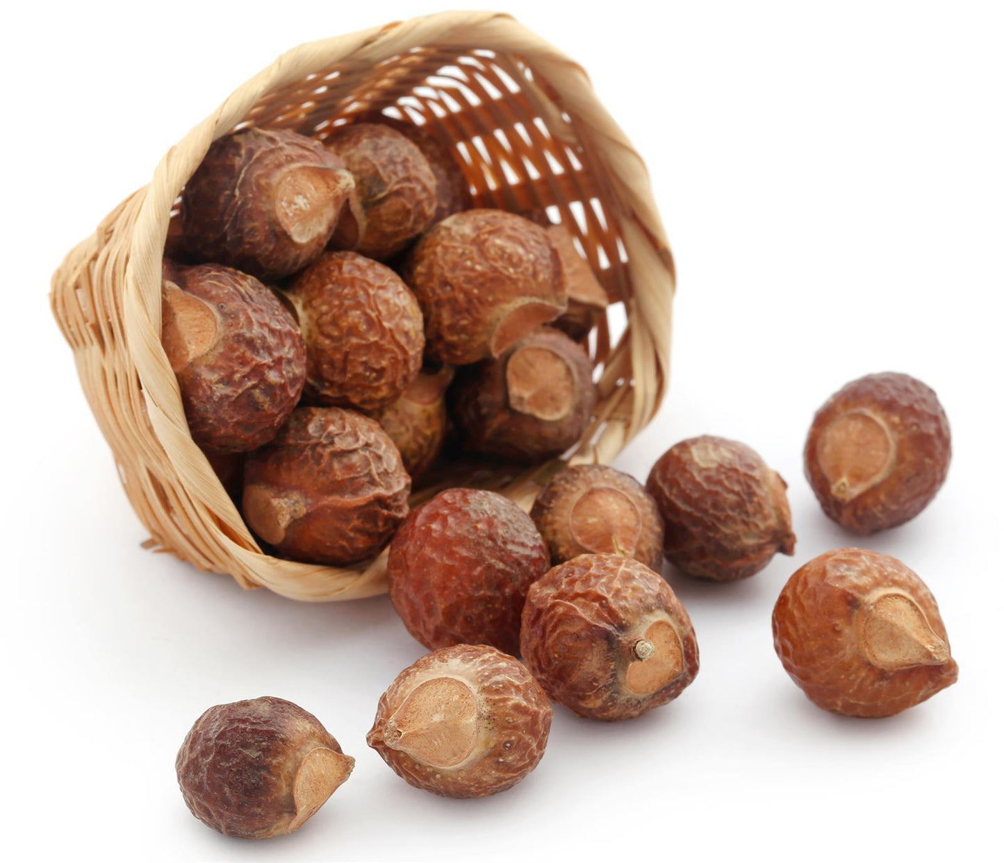 Waschnüsse Sapindus Mukorossi Allergiekergeeignet 100% biologisch natürlich Waschmittel 2,5kg