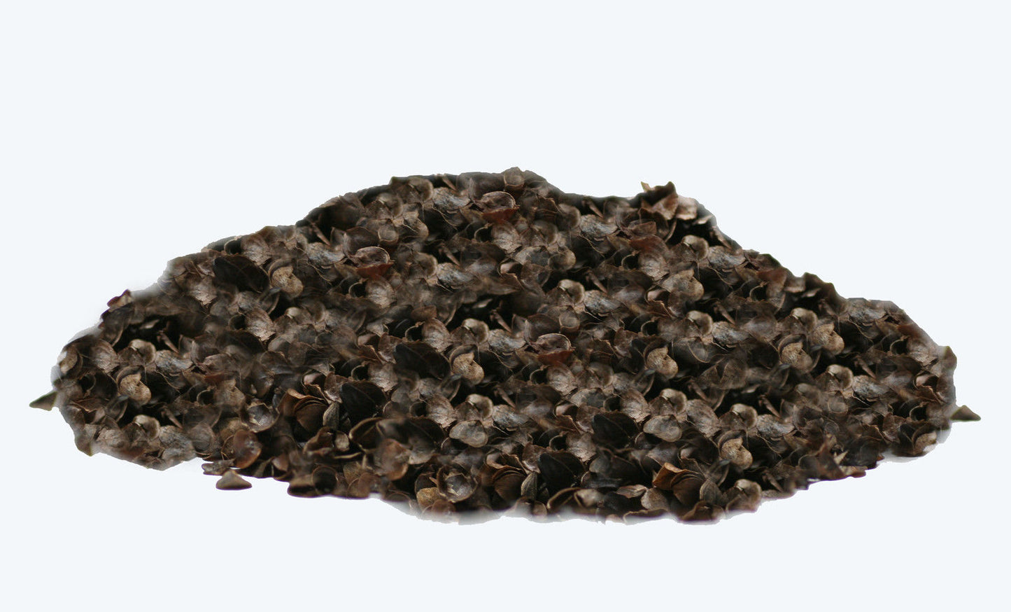 Bio Buchweizen Nachfüllpack 2kg für Kissen Kuscheltiere Bolster Yogakissen