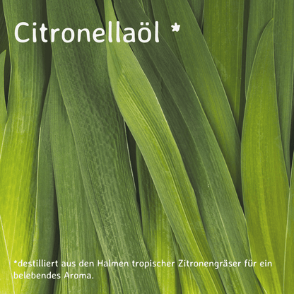 Citronella / Cymbopogon Winterianus 10 ml AROMARA Ätherisches Duftöl