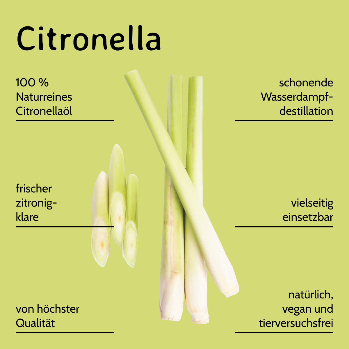 Citronella / Cymbopogon Winterianus 10 ml AROMARA Ätherisches Duftöl