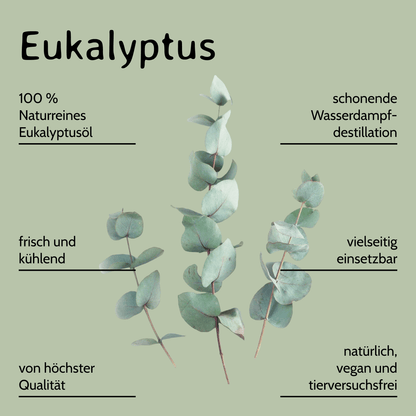 Eukalyptus / Eucalyptus globulus 10 ml AROMARA Ätherisches Duftöl