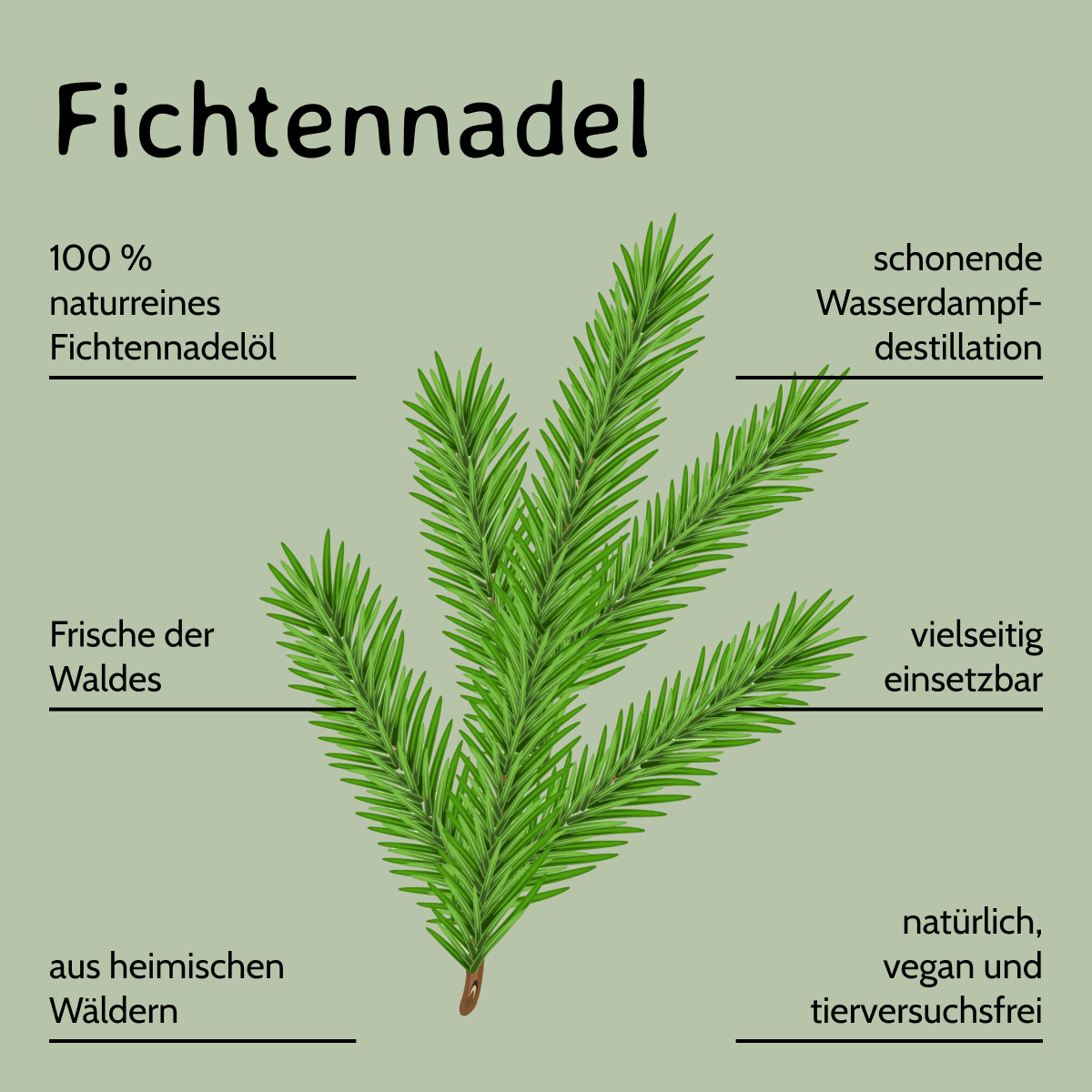 Fichtennadel / Abies Sibirica 10ml  AROMARA Ätherisches Duftöl