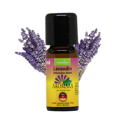 Lavandin / Lavandula hybrida 10 ml AROMARA Ätherisches Duftöl