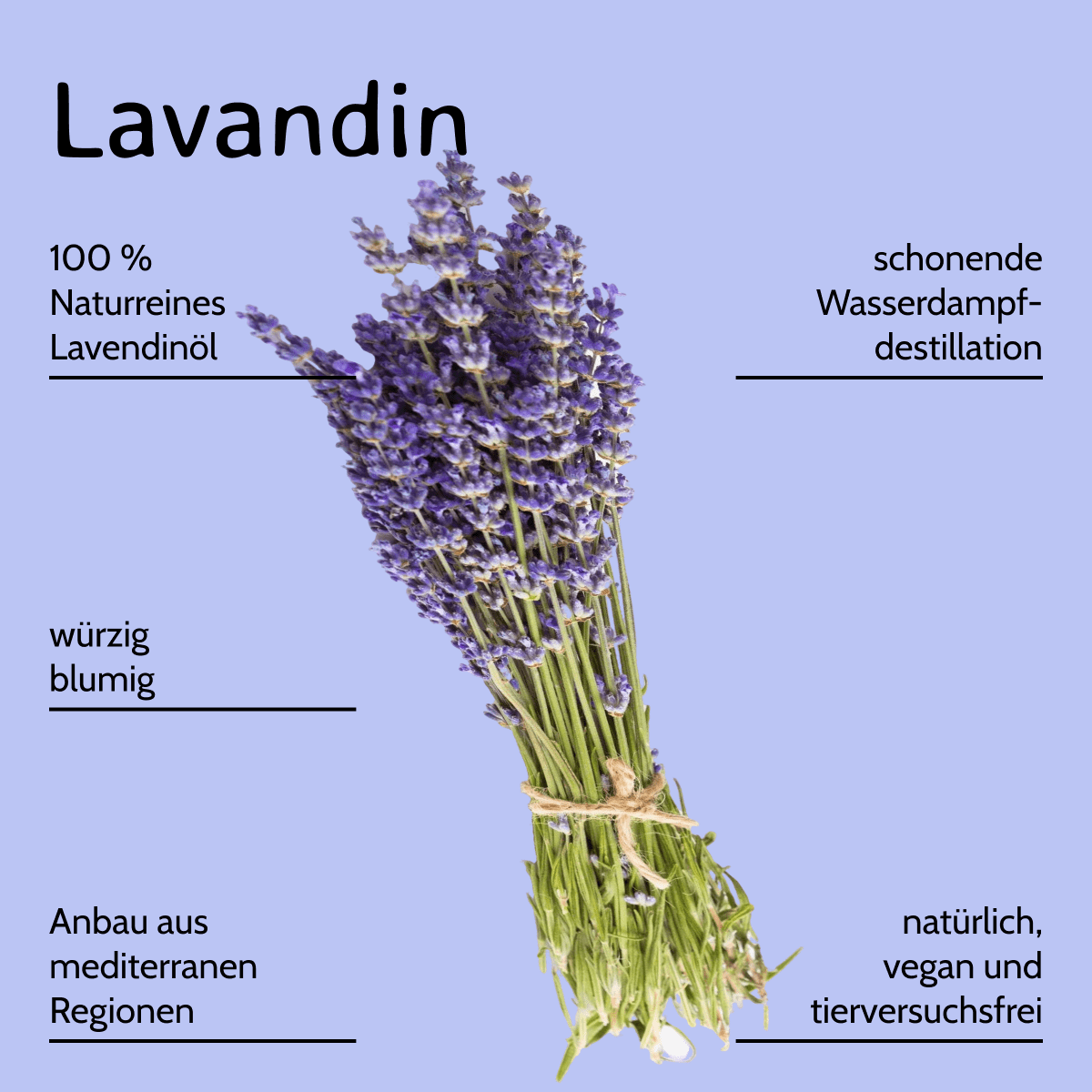 Lavandin / Lavandula hybrida 10 ml AROMARA Ätherisches Duftöl