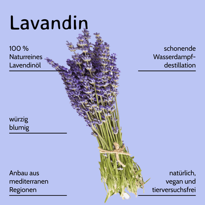 Lavandin / Lavandula hybrida 10 ml AROMARA Ätherisches Duftöl