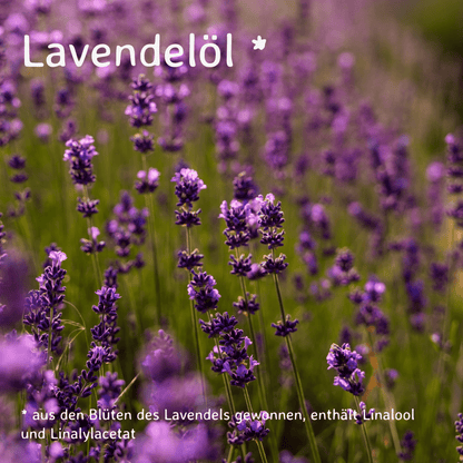 Lavendel Lavendelöl / Lavandula angustifolia 10 ml AROMARA Ätherisches Duftöl