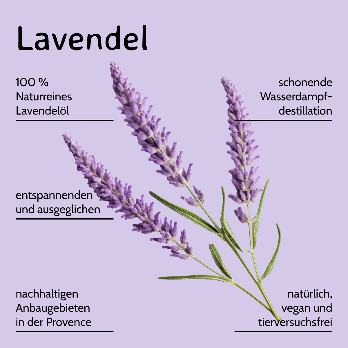 Lavendel / Lavandula angustifolia 20ml AROMARA Ätherisches Duftöl