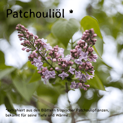 Patchouli / Pogostemon cablin 10ml AROMARA Ätherisches Duftöl