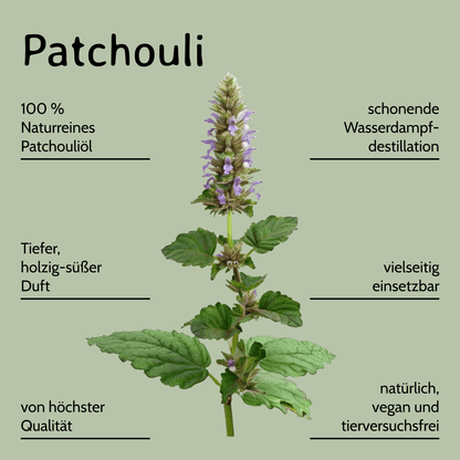 Patchouli / Pogostemon cablin 10ml AROMARA Ätherisches Duftöl