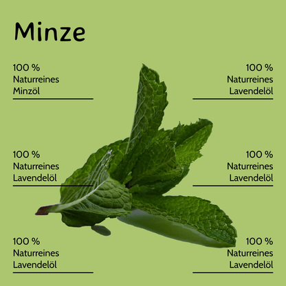 Pfefferminze / Mentha arvensis10 ml AROMARA Ätherisches Duftöl