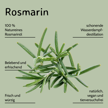 Rosmarin / Rosmarinus officinalis 10 ml AROMARA Ätherisches Duftöl