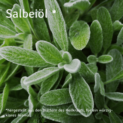 Salbei / Salvia lavandulifolia 10 ml AROMARA Ätherisches Duftöl