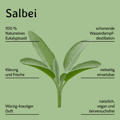 Salbei / Salvia lavandulifolia 10 ml AROMARA Ätherisches Duftöl