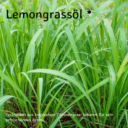 Lemongras / Cymbopogon citratus 10 ml AROMARA Ätherisches Duftöl