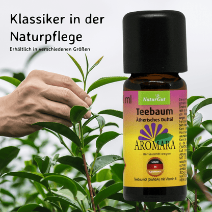 Teebaum konventionell / Melaleuca alternifolia 10 ml AROMARA Ätherisches Duftöl