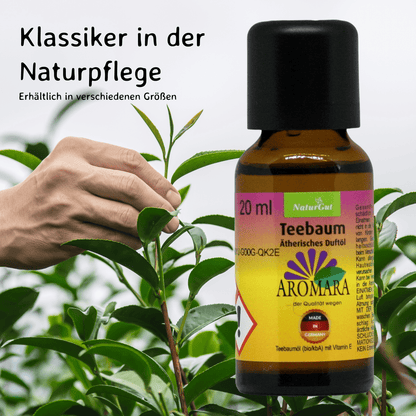 Teebaum konventionell / Melaleuca alternifolia 20 ml AROMARA Ätherisches Duftöl