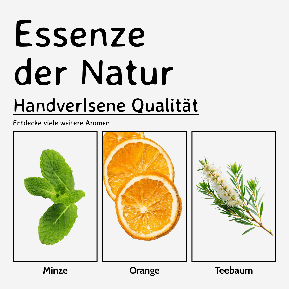 Zitrone / Citrus limon 20 ml AROMARA Ätherisches Duftöl