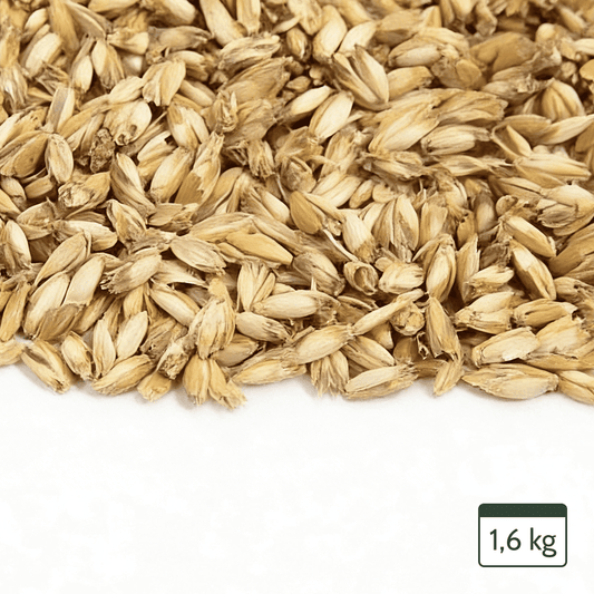 Organic spelt pillow refill pack 1.6 kg – Breathable spelt husk for pillows and yoga bolsters