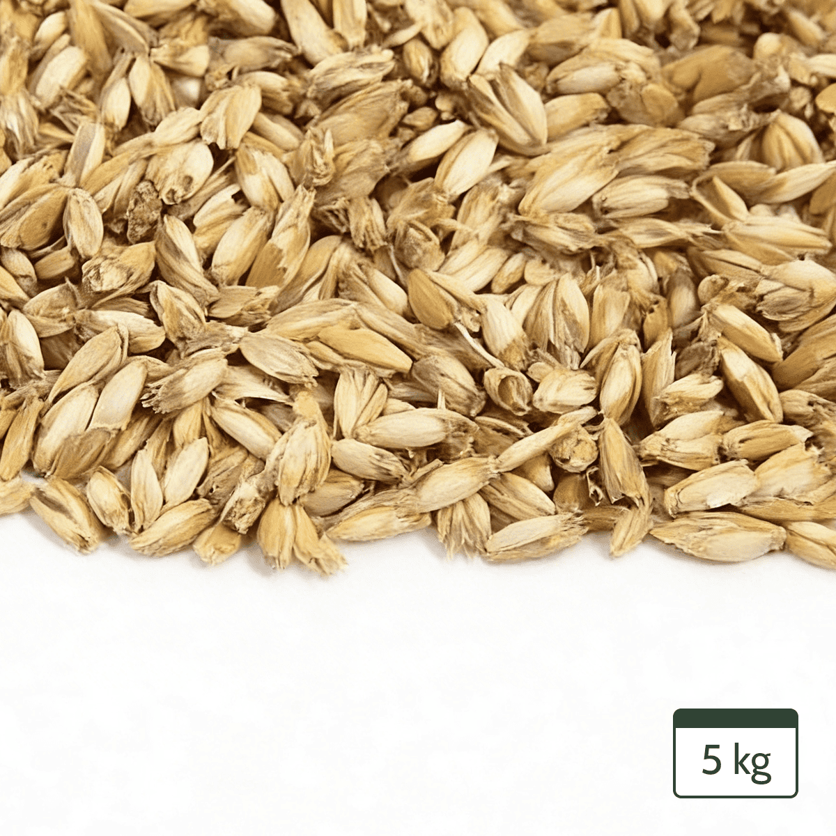 Organic spelt pillow refill pack 5kg – Breathable spelt husk for pillows and yoga bolsters