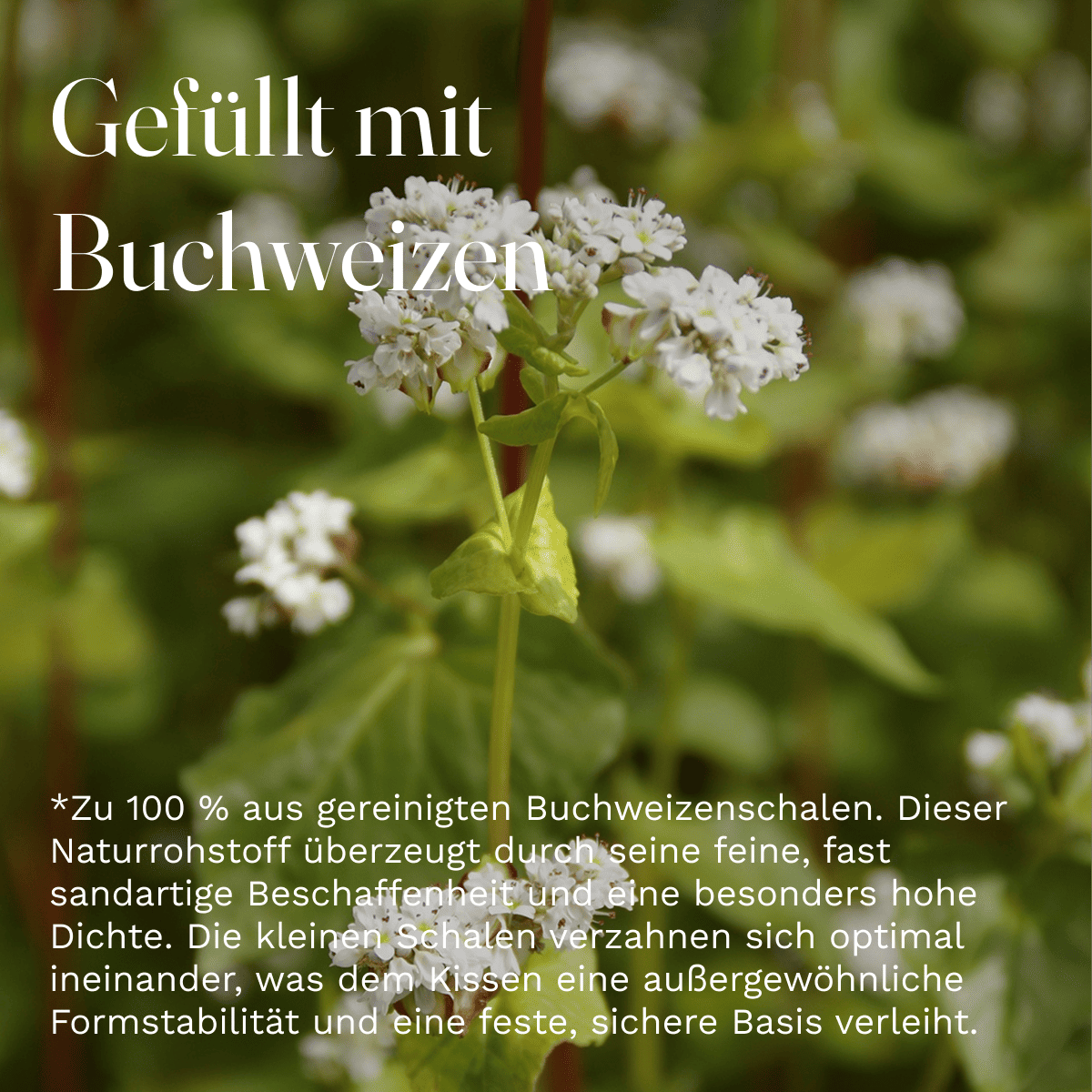 Coussin de méditation yoga uni rouge garni de sarrasin bio - rond Ø env.