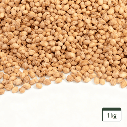 Cherry Stones Loose for Cherry Stone Pillows Heat Pillows Cleaned Cherry Stones 1Kg