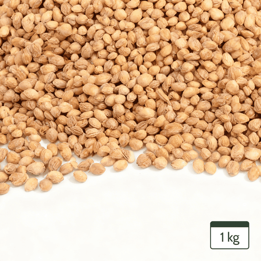 Cherry Stones Loose for Cherry Stone Pillows Heat Pillows Cleaned Cherry Stones 1Kg