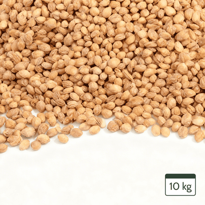 Cherry Stones Loose for Cherry Stone Pillows Heat Pillows Cleaned Cherry Stones 10kg