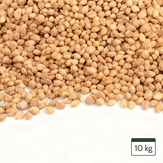 Cherry Stones Loose for Cherry Stone Pillows Heat Pillows Cleaned Cherry Stones 10kg