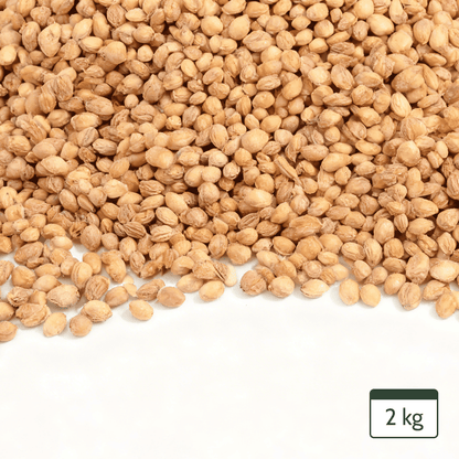 Cherry Stones Loose for Cherry Stone Pillows Heat Pillows Cleaned Cherry Stones 2Kg