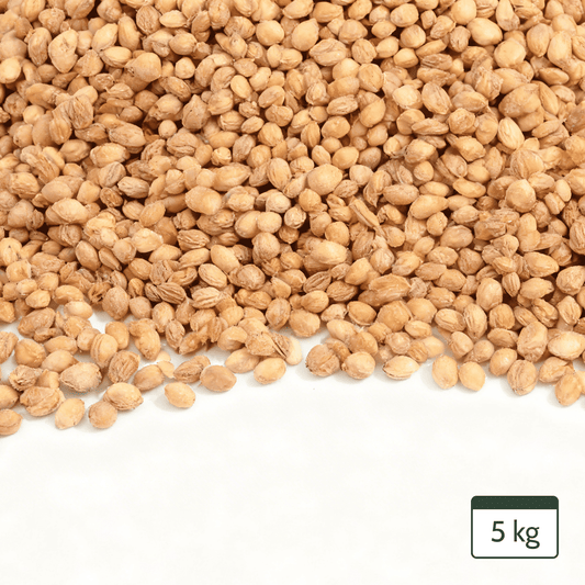 Cherry Stones Loose Cherry Stone Pillow Heat Pillow Cherry Stones Dried 5kg