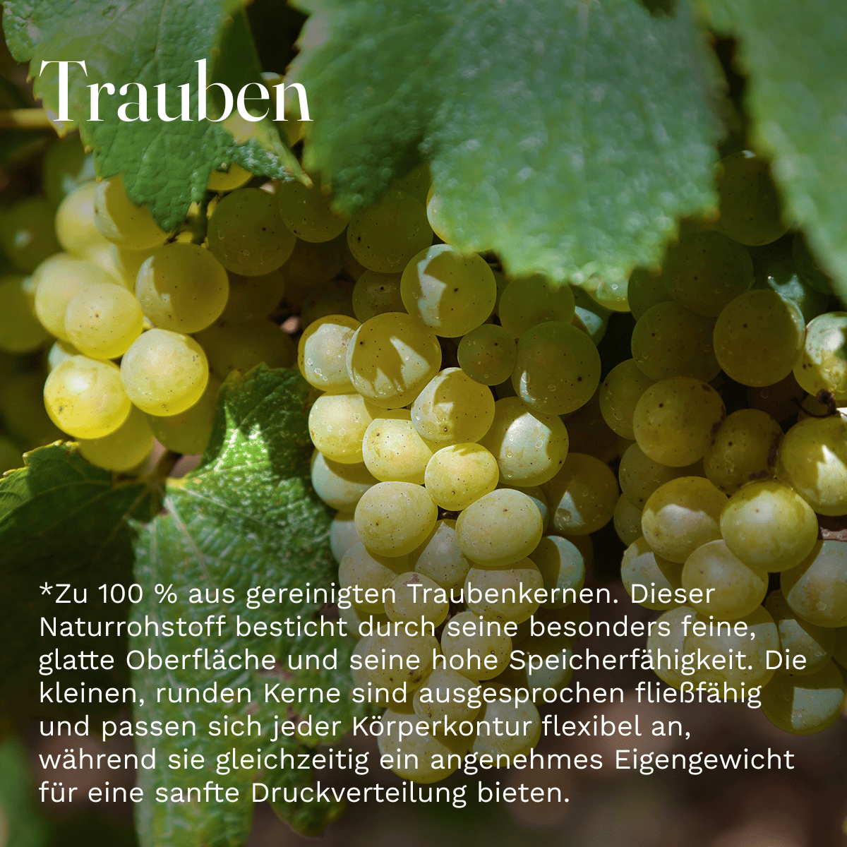 Traubenkern lose 500g Füllmittel Füllung Kissenfüllung Wärmekisse Kältekissen