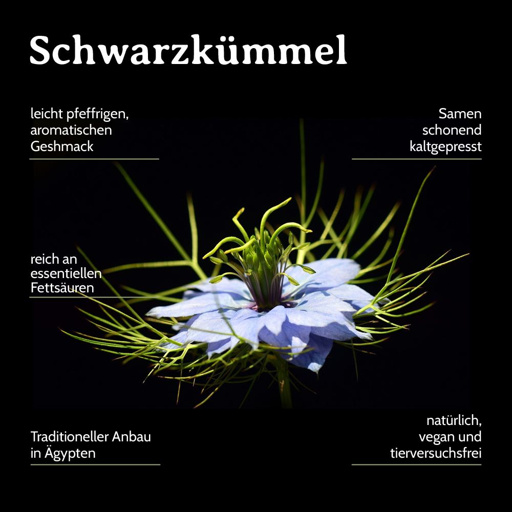 Schwarzkümmelöl 100ml Nigella sativa aus Ägypten Schwarzkümmelöl-konventionell-Kaltgepresst