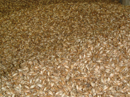 Organic spelt pillow refill pack 5kg – Breathable spelt husk for pillows and yoga bolsters