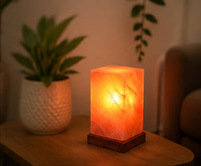 NaturGut Lampe de sel de cristal Feng Shui 3–4 kg avec électricité et socle en bois | Lampe de sel de l'Himalaya du Pakistan | Lampe de sel fabriquée à la main | Lumière d'ambiance chaude pour les salons, chambres et salles de méditation