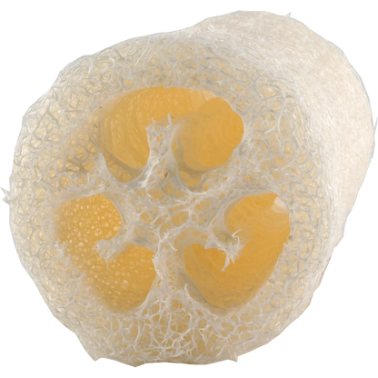 Luffa Gurkenschwamm Natur 10 cm – Für Bad & Küche – 100% biologisch abbaubar, plastikfrei & unverpackt