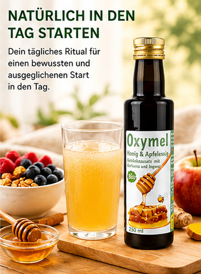 Oxymel biologique curcuma et gingembre 250 ml additif pour boisson au miel et vinaigre de cidre de pomme miel aigre