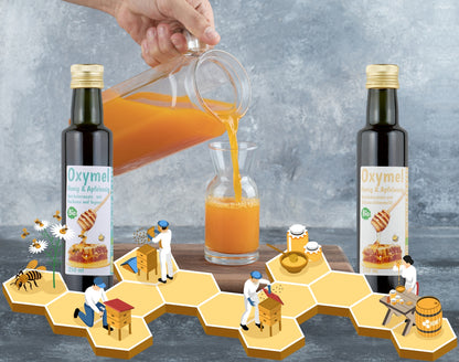Bio Oxymel Schwarzkümmelöl 250 ml Getränkezusatz mit Honig & Apfelessig Sauerhonig