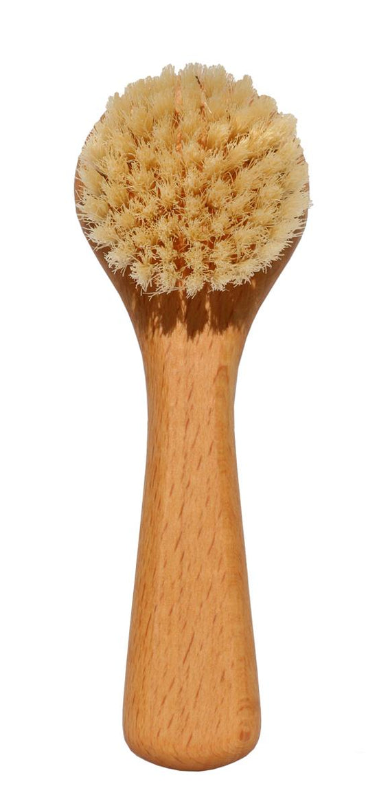 Ensemble de brosses à champignons et à légumes en bois de hêtre, brosse en crin de cheval