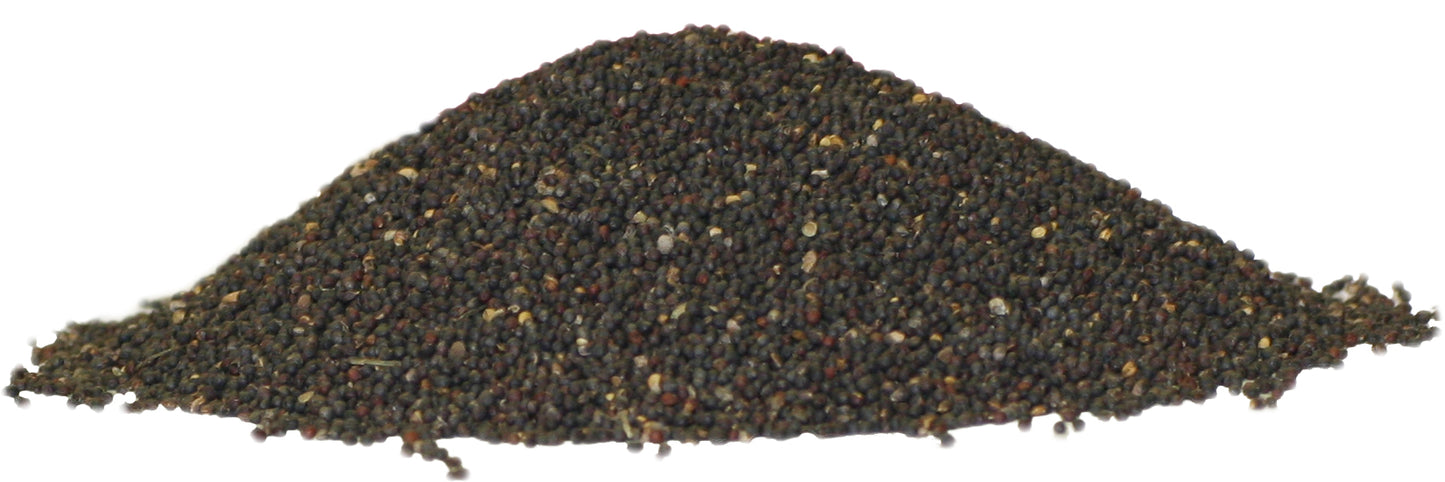 Rapeseed Cleaned Rapeseed Rapeseed Rapeseed Grains Pillow Filling Filling Heat Cushion