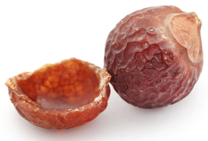 Waschnüsse Sapindus Mukorossi Allergiekergeeignet 100% biologisch natürlich Waschmittel 1kg