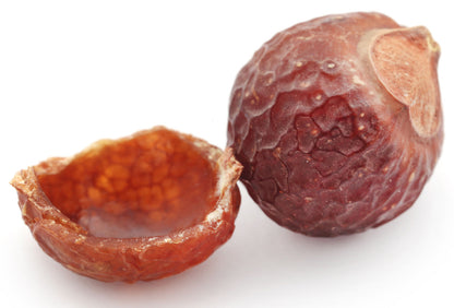Waschnüsse Sapindus Mukorossi Allergiekergeeignet 100% biologisch natürlich Waschmittel 1kg