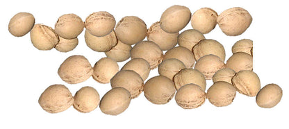 Kirschkerne lose Kirschkernkissen Wärmekissen Kirschsteine getrocknet 5kg